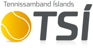 TSI.logo.m.skugga_small