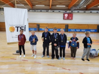 verdlaun_mini_tennis